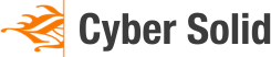 Logo Cyber Solid